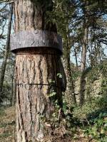 Notre zone d'activité pour ce service Tuer les punaises de lit par traitement thermique avec un professionnel agréé